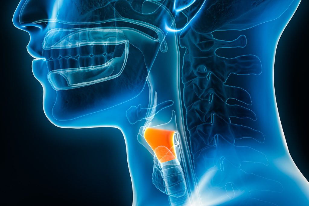 Xray lateral or profile view of the larynx or voice box